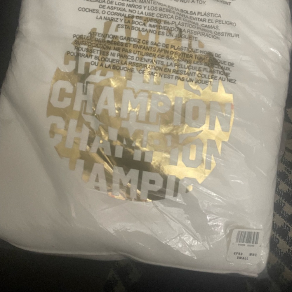 Small size champion Hoodie